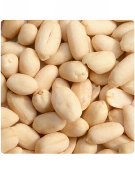 ROASTED PEANUTS油炸花生仁
