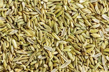 FENNEL SEEDS 茴香