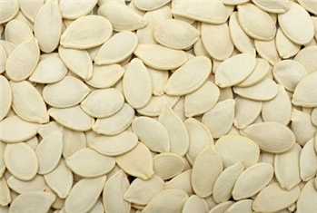 南瓜籽 SHINE SKIN PUMPKIN SEEDS