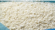IQF GARLIC DICED冻蒸煮蒜丁