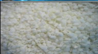 IQF ONION DICED冻蒸煮洋葱丁