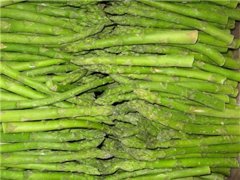 IQF GREEN ASPARAGUS SPEARS(M) 冻蒸煮绿芦笋