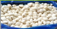 IQF GARLIC CLOVES冻蒸煮蒜米