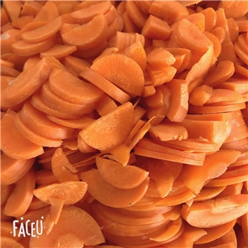 冻蒸煮胡萝卜片 IQF SLICED CARROTS