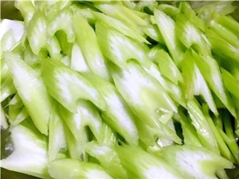 冻蒸煮西芹片IQF SLICED CELERY