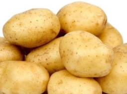 FRESH POTATO保鲜土豆