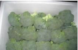 BROCCOLI保鲜西兰花