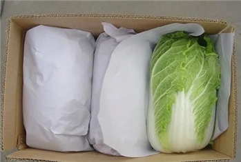 保鲜大白菜