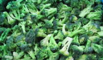 蒸煮冻西兰花 IQF BROCCOLI STALKS