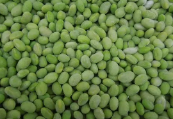 蒸煮冻毛豆仁 IQF Soybean Cleaned