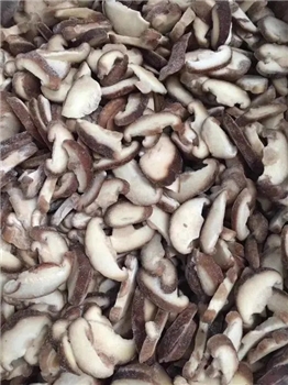 冻蒸煮蘑菇片 FROZEN SLICED MUSHROOMS
