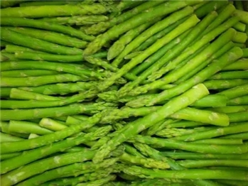 冻蒸煮绿芦笋段 FROZEN GREEN ASPARAGUS TIPS AND CUTS
